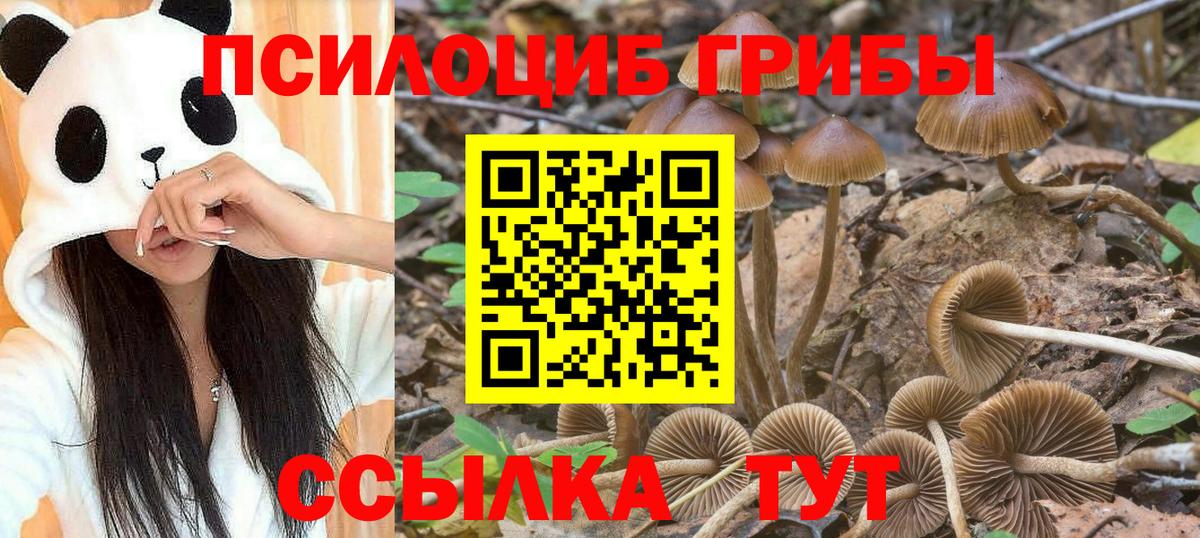 Псилоцибиновые грибы мухоморы Амурск