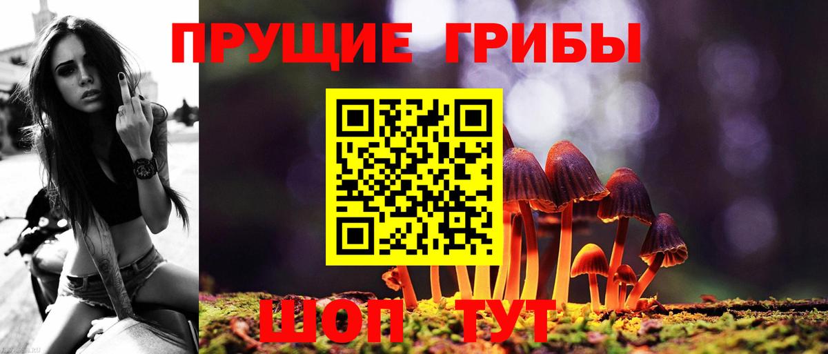 Амурск  Псилоцибиновые грибы Cubensis  Вход с VPN 